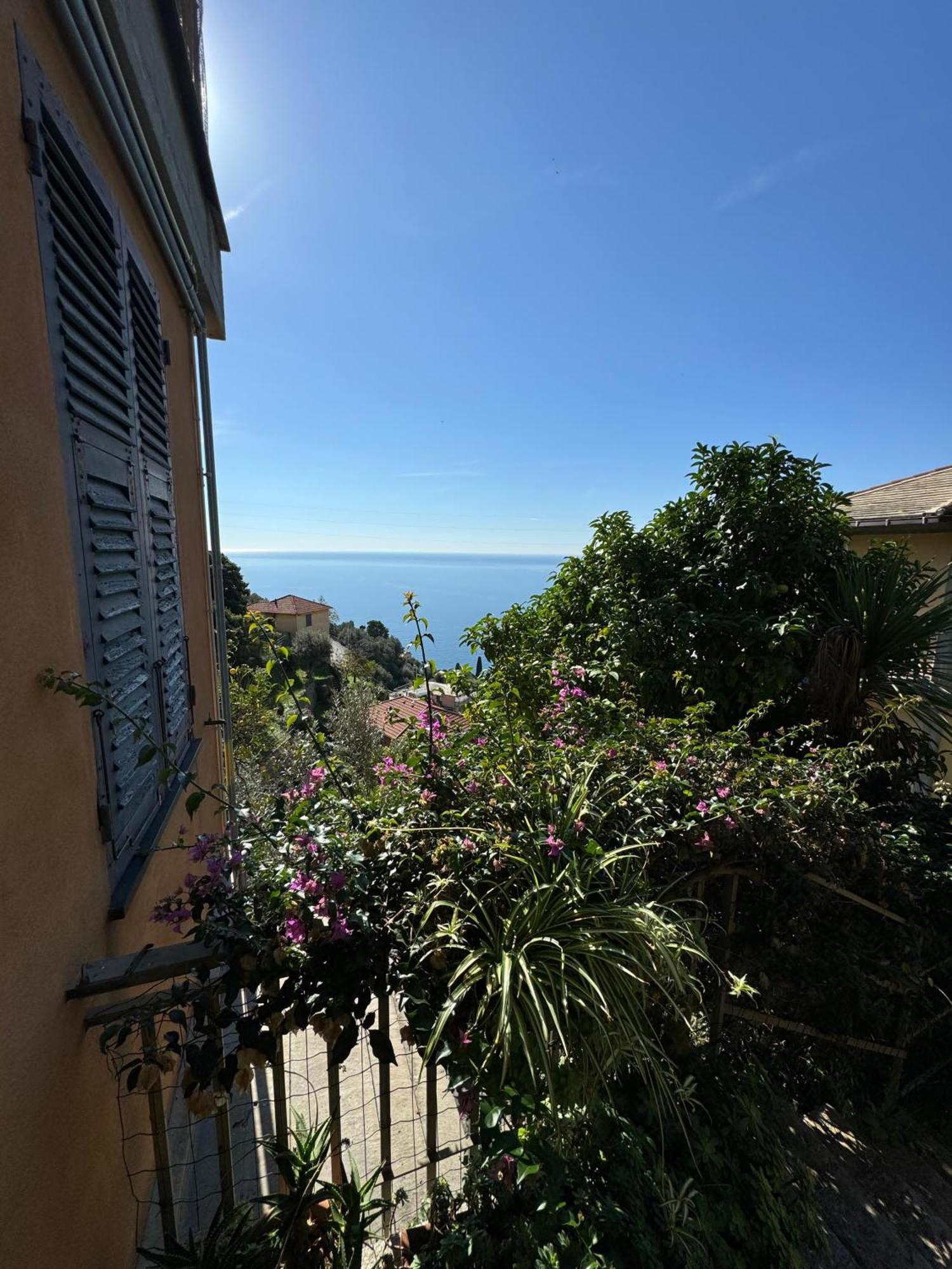 Giardino Dei Limoni *