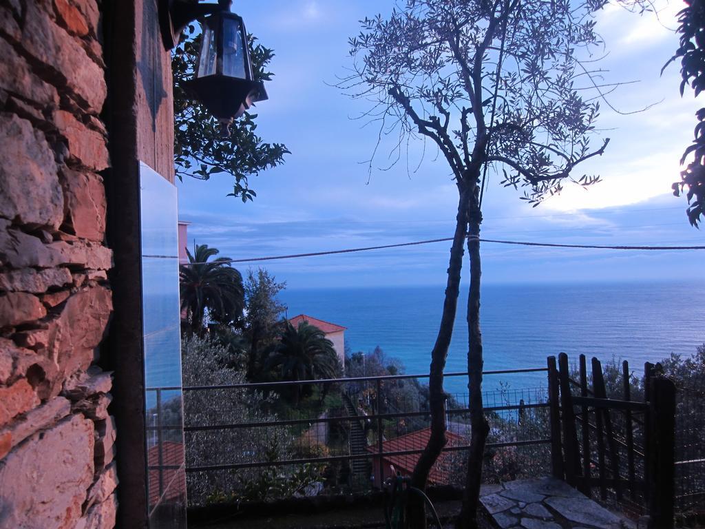 Giardino Dei Limoni